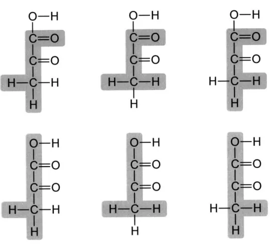 Figure 2-8:  Equivalent EMUs  of pyruvate.  The three hydrogen  atoms  of pyruvate  at  C3 are biochemically  equivalent