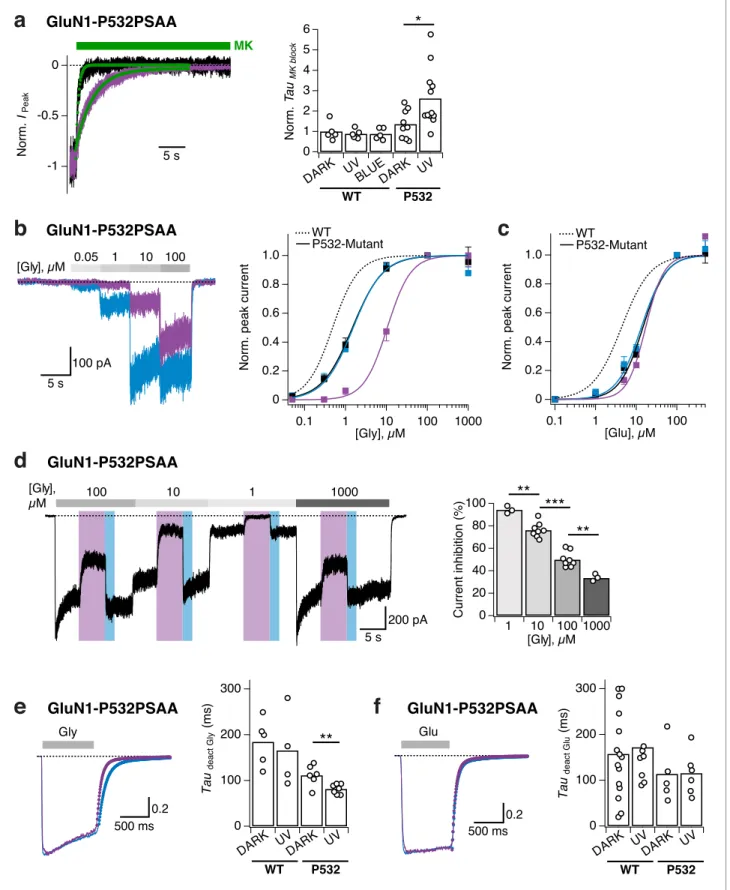 Figure 4. Reversible photomodulation of channel activity and glycine sensitivity of GluN1-P532PSAA/GluN2A receptors