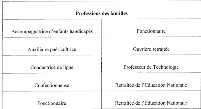 Tableau  V  :  Professions des familles 