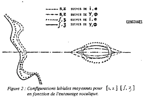 Figure 2 : Configurations labiales moyennes pour [s. z I [f, , ]