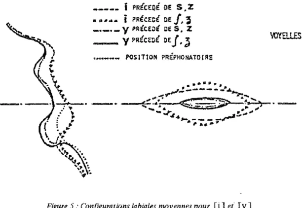Figure 5 : Configurations labiales moyennes pour [i] et' IY]