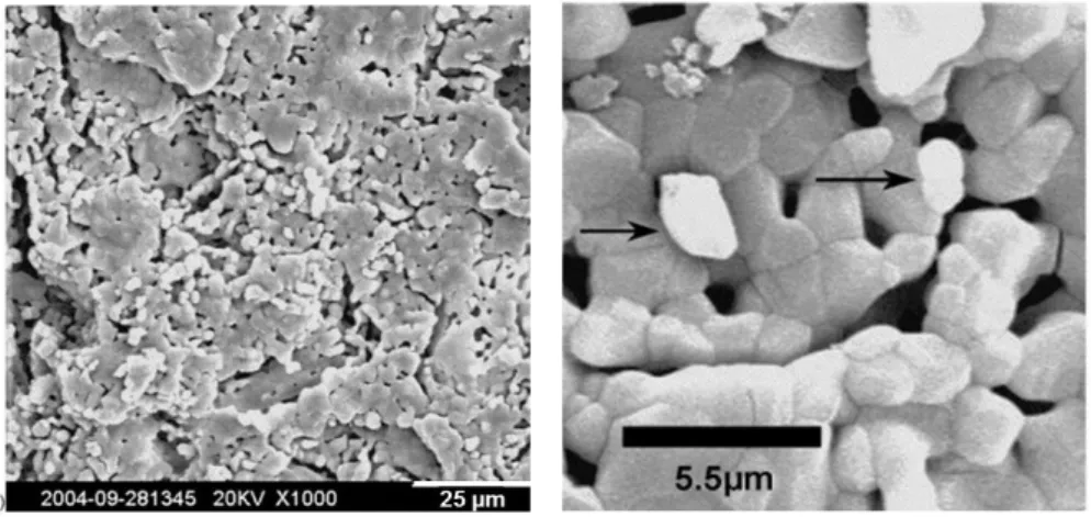 Figure  I-15.  Images  de  MEB  d’un  matériau  à  base  d’hydroxyapatite  utilisé  comme  filtre
