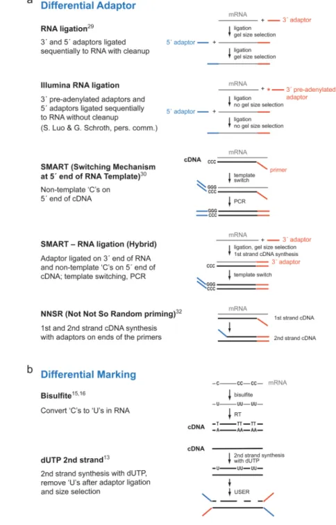 Figure 1. Methods for strand-specific RNA-Seq