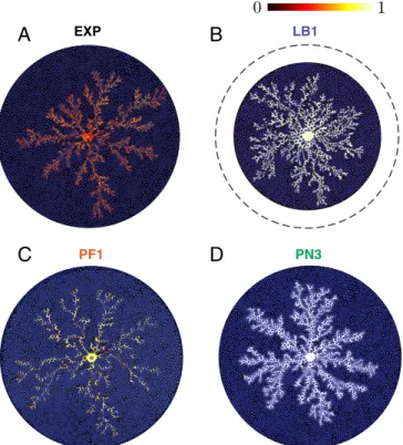 Fig. 3. Selection of simulated displacement patterns for the priority cases.