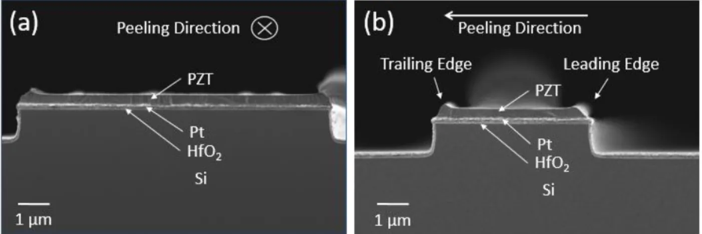 Fig. 6. Cross-sectional SEM images of 300 nm crystallized PZT film printed on a patterned substrate feature