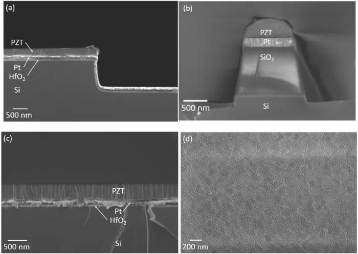 Fig. 8. SEM micrographs of crystallized PZT film printed with ideal solution thickness per print, stamp peeling 