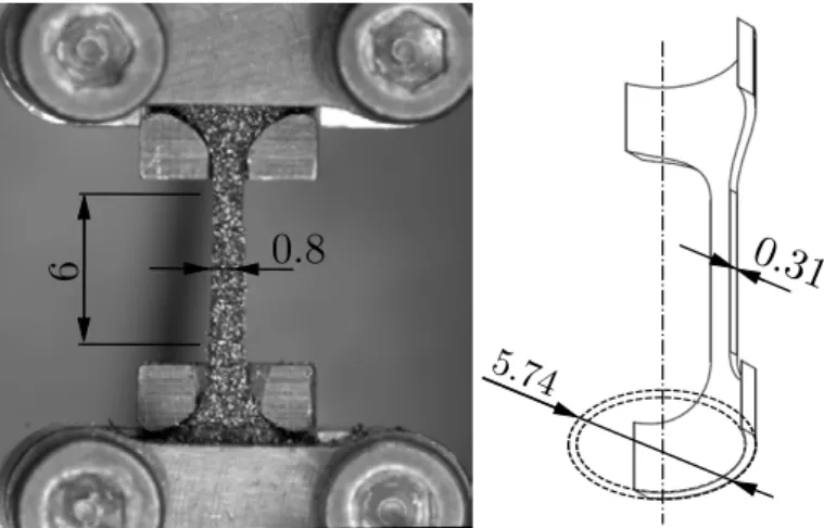 Figure 4: Uniaxial tensile specimen machined from tubes by spark cutting (dimensions in mm).