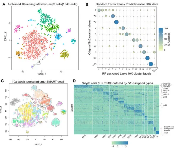 Figure 4. Correspondence of Larval Habenular Neuronal Types and their Molecular Identities  Between the Droplet and SMART-seq2 Datasets