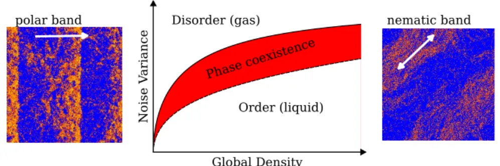 Fig. 1 The central panel shows the schematic phase diagram of Vicsek-style models in two dimensions