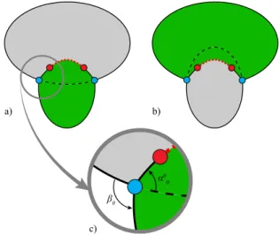 Figure 5: Identification of the cycles belonging to the shape part at the background that is structurally symmetrical to a foreground limb.