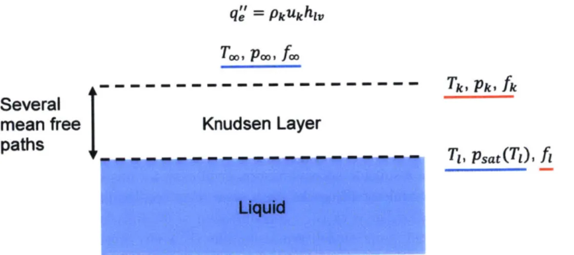 Figure 5: Physical  picture of evaporation into pure vapor.  The vapor flux  from the interface is initially in non-equilibrium  before  a sufficient  number of molecular  collisions  lead to  equilibrium.
