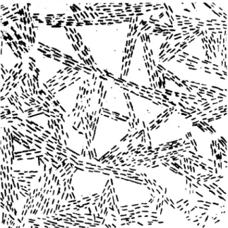 Fig. 5. Rubbing of the bottom of a 2.5 em thick ice skim that is undergoing geometric selection  (Hope-dale, Labrador, 1955)