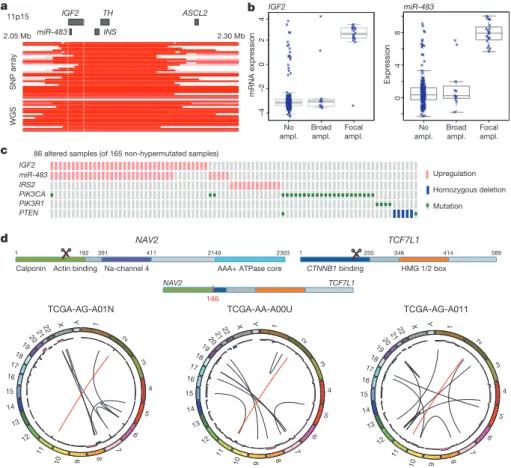 Figure 3 | Copy-number changes and structural aberrations in CRC.