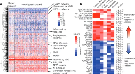 Figure 5 | Integrative analyses of multiple data sets. a, Clustering of genes and pathways affected in colon and rectum tumours deduced by PARADIGM analysis