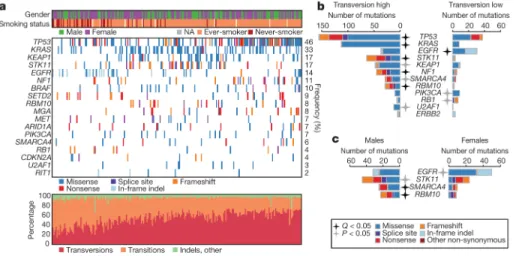 Figure 1. Somatic mutations in lung adenocarcinoma