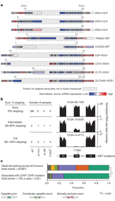 Figure 2. Aberrant RNA transcripts in lung adenocarcinoma associated with somatic DNA  translocation or mutation