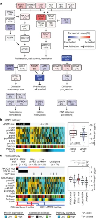 Figure 4. Pathway alterations in lung adenocarcinoma