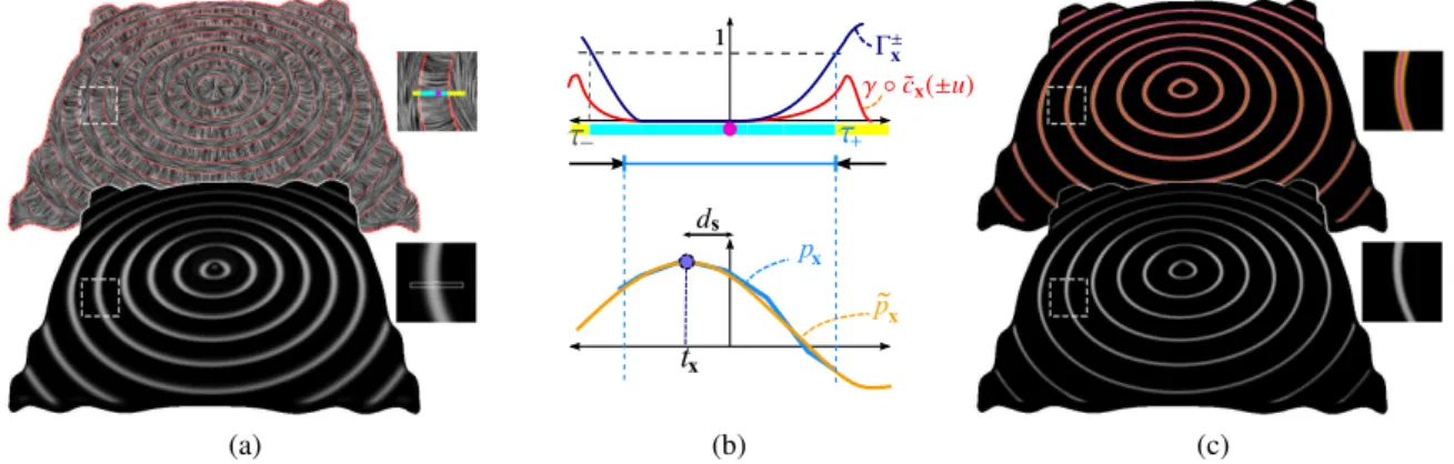 Figure 3: Feature extraction: (a) Feature data consists of a direction field θ (here t min , displayed on top using LIC with singularities in red), and a height field h (here − k min , displayed at bottom in gray-scales)