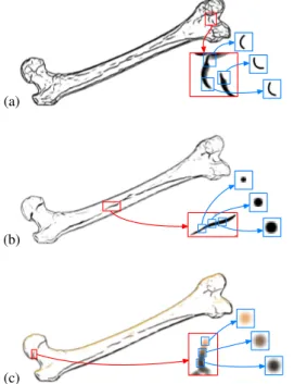 Figure 7: Comparison with Lee et al. [LMLH07]. Ren- Ren-dering luminance valleys from (a) with the method of Lee et al
