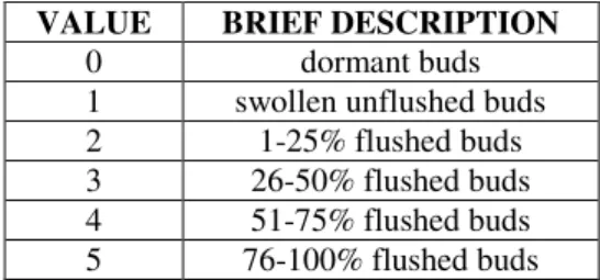 Table 1. The main criteria for assigning a certain bud flushing value to each tree. 