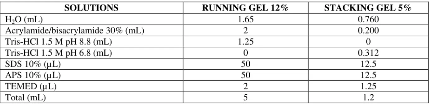 Table 3. Composition of the gels realised for protein separation 