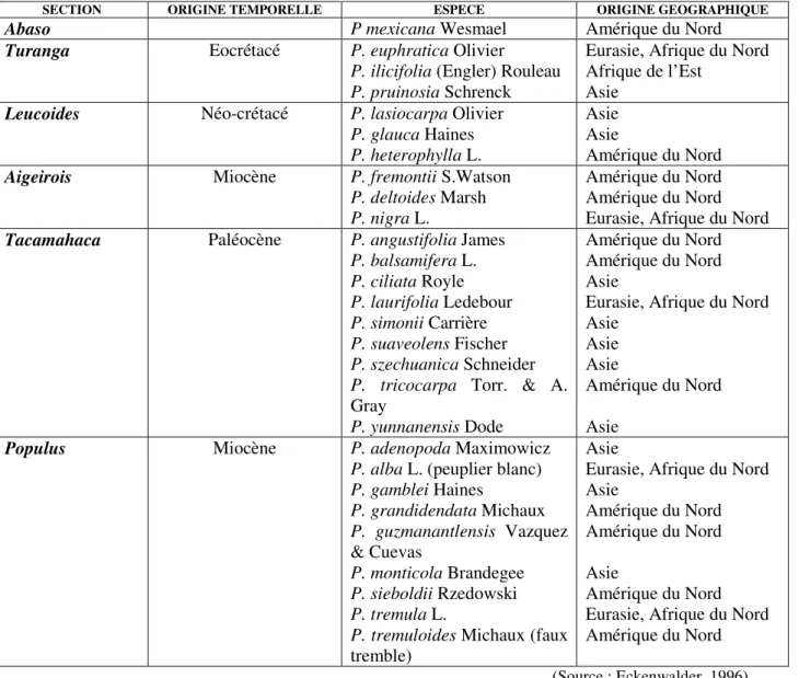 Tableau I : Classification des espèces du genre Populus 