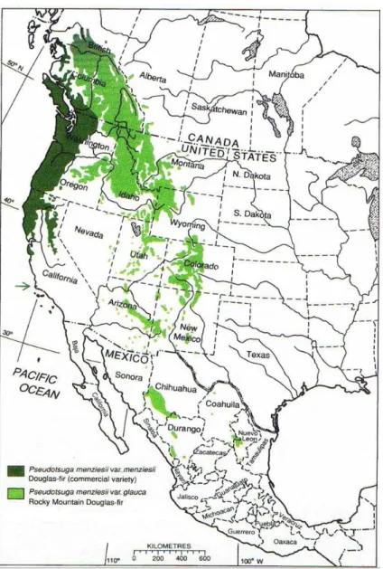 Figure  1   Aire  de  répartition  du  douglas  (Pseudotsuga  menziesii)  en  Amérique  du  Nord