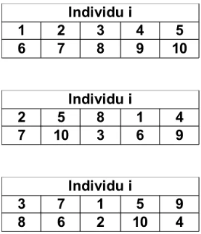 Figure 3 – Plusieurs génotypes possibles pour le même individu i.