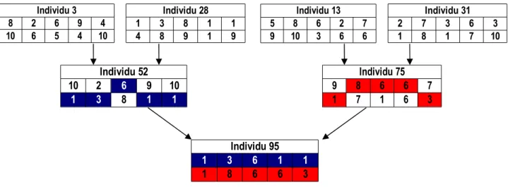 Figure 15 – Génotypes pour les générations 1 et 2.