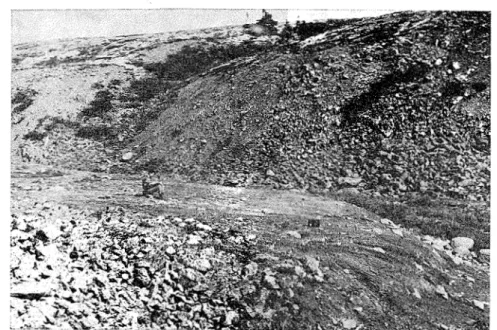 FIGURE  2 .   Site  I.  The  slope  investigated  is  in  the  foreground  where  the  author  is  sitting