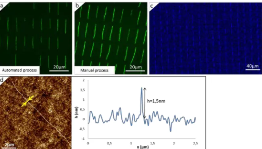 Figure  3:  Fluorescence images of the deposition obtained with (a)  our automated process with control of the distance d, and (b) a process as reported in  [10]with no control in d and manual printing