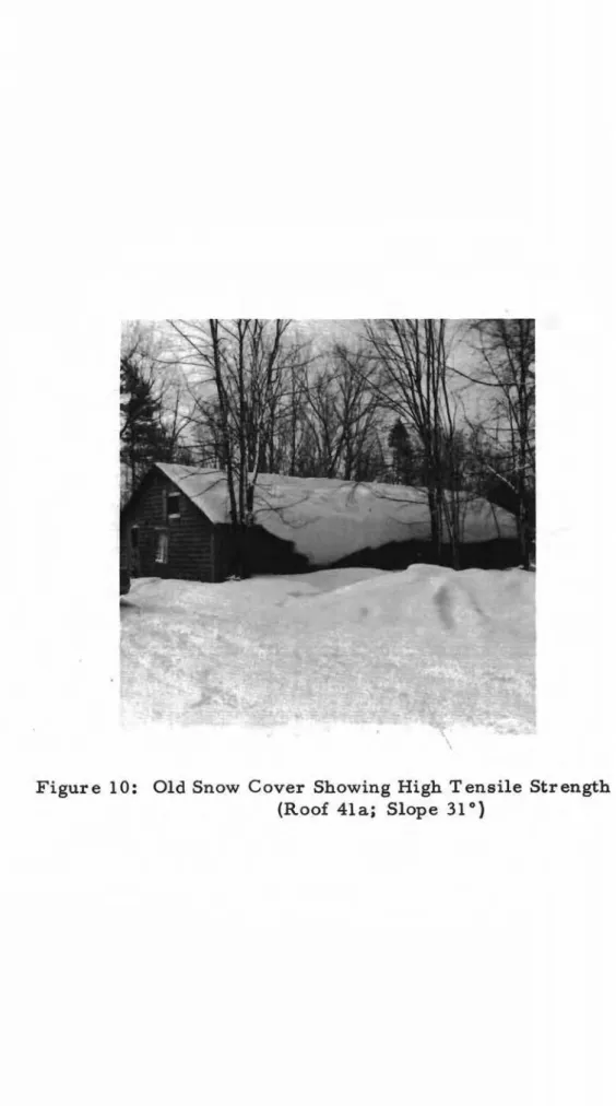 Figure 10: Old Snow Cover Showing High Tensile Strength (Roof 41aj Slope 31°)