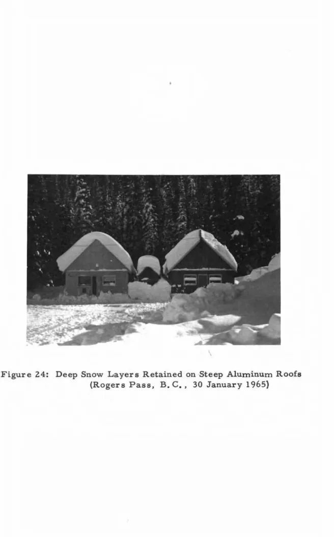 Figure 24: Deep Snow Layers Retained on Steep Aluminum Roofs (Rogers Pass, B. C., 30 January 1965)