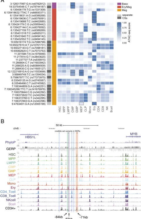 Fig. 2. Integration of ATAC-seq data with fine-mapping results sheds mechanistic insights