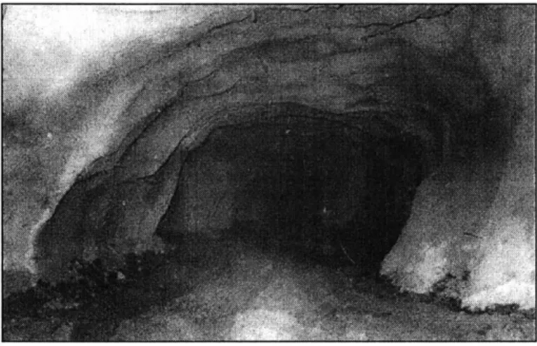 Figure 2.18:  Shape after Strain Bursts Halted and Ressupport with Shotcrete  (Kaiser