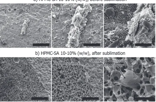 Fig. 12 – SEM micrographs of HPMC-SA in water and taken before and after sublimation. HPMC: