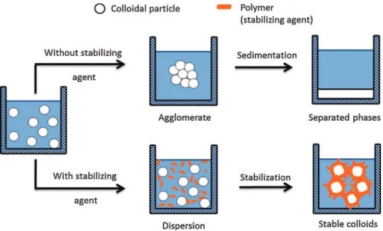 Fig. 1 – Schematic presentation of colloidal stability, with and without stabilizing agent.