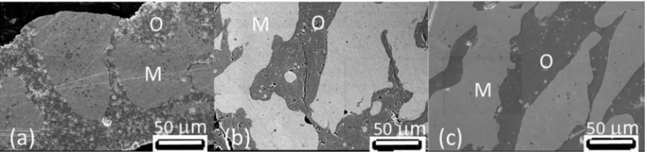 Fig. 5. Scanning electron micrographs in backscattered electron mode of a sample prepared at 45 W (9