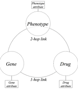 Fig. 1. General view of the type of entities and relationships considered in this study