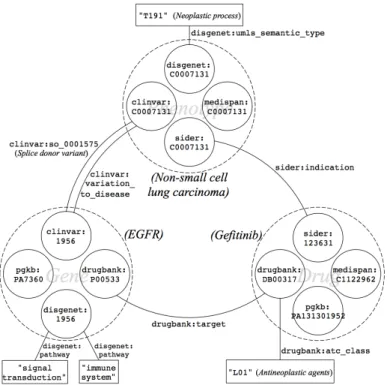 Fig. 3. Sample of PGx linked data, describing relationships between EGFR gene, Gefitinib and Non-small cell lung carcinoma