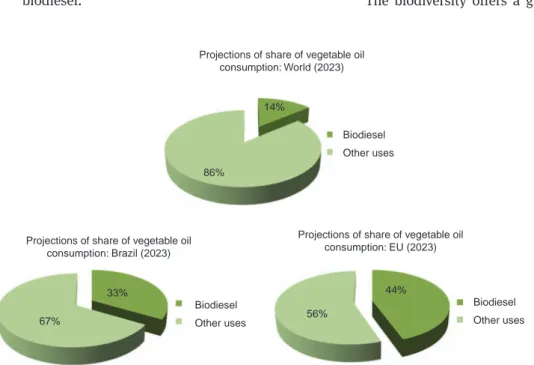 Figure 1 Share of vegetable oil consumption used for biodiesel production. Source: OECD-FAO [1].