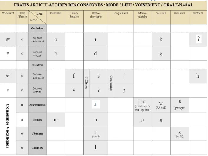 Tableau 2  - Les traits articulatoires des consonnes [2] 