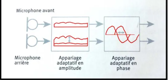 Figure   19   :   Appariage   en   amplitude   et   en   phase   dans   un   système   directionnel   à   microphones   multiples    [Widex,   Le   son   et   l’audition,   les   microphones   directionnels,   troisième   édition,   2007]   