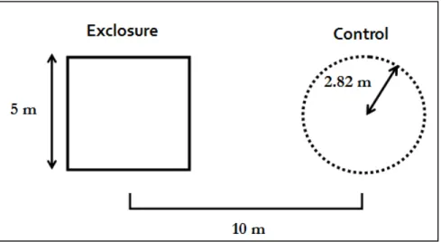 Figure 2. Experimental design showing paired exclosure and control plot 