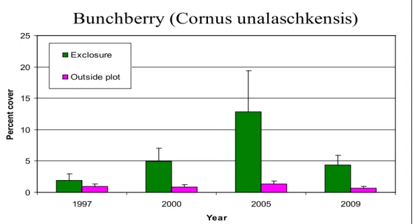 Figure 5. Changes in average percent cover of bunchberry over time 