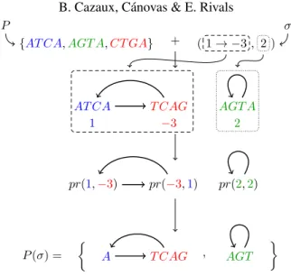 Figure 1: Example of permutation and cyclic cover for the input set P := { ATCA, AGTA,CT GA } 