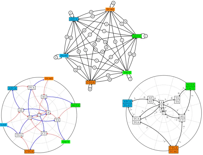 Figure 4: Running example with P := { ATCA,AGTA,CT GA } := { s 1 ,s 2 ,s 3 } . We have ← − P = { T GAT,TACT,TCAG } 