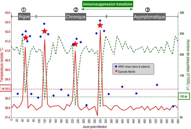 Figure 4 : Profils cliniques et virologiques de poneys expérimentalement  infectés par EIAV