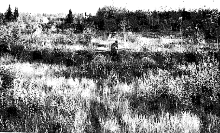 Fig.  1 .   Variety  of  v e g e t a t i o n   a s s o c i a t i o n s  with  r e l a t e d   v a r i a -   t i o n s   i n   permafrost  o c c u r r e n c e  