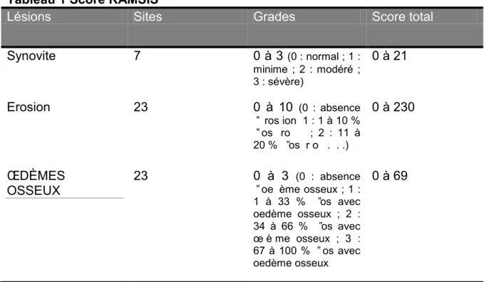 Tableau 1 Score RAMSIS 